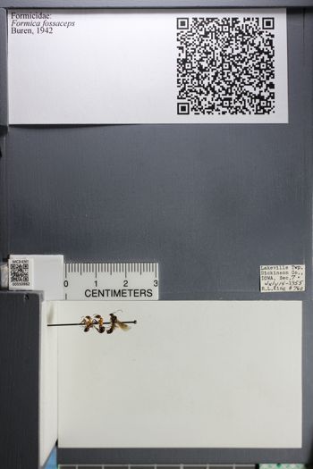 Media type: image;   Entomology 550982